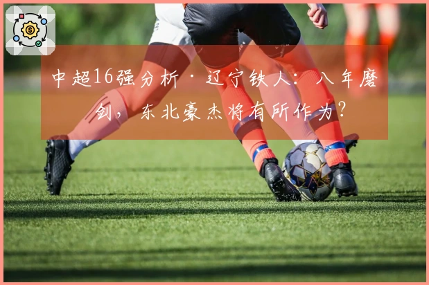 中超16强分析·辽宁铁人：八年磨一剑，东北豪杰将有所作为？
